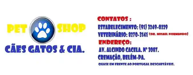 Cães Gatos & Companhia - Belém, PA