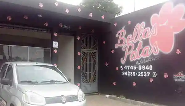 Bellas Patas, Pet Shop, Benjamin Constant, Suzano, SP